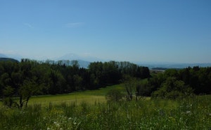 Around Sihlbrugg