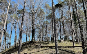 Between Pfungen and Weiertal