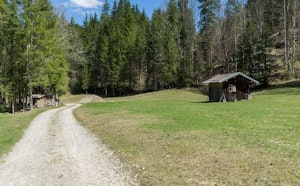Buchenegg