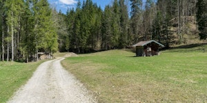 Buchenegg