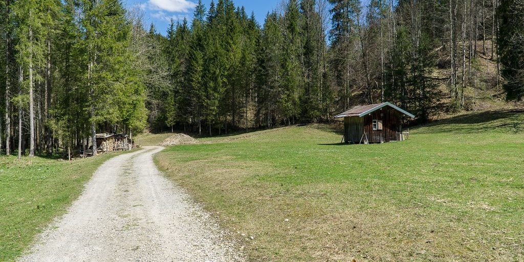 Buchenegg