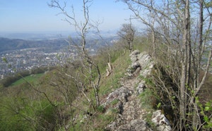 From Dielsdorf to Baden
