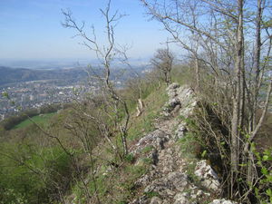 From Dielsdorf to Baden