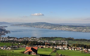 Pfannenstiel