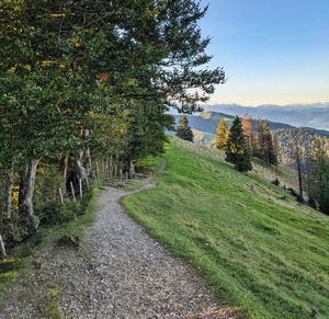Schnebelhorn from Steg