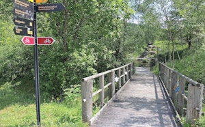 Forêt de Sihlwald