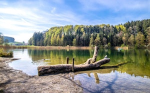 Lac de Türler