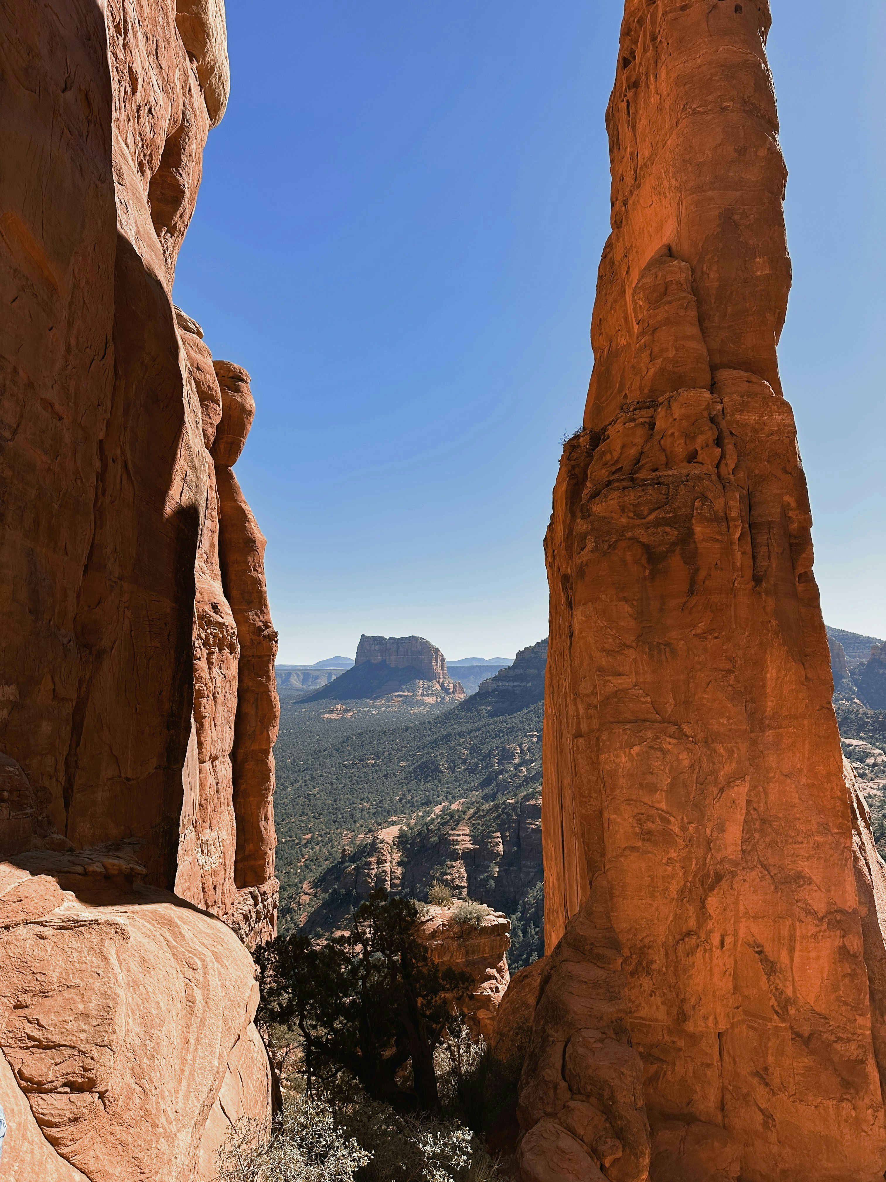 Cathedral Rock Trail