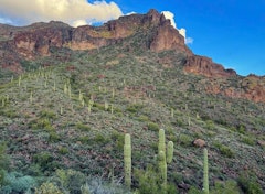 Hieroglyphic Trail