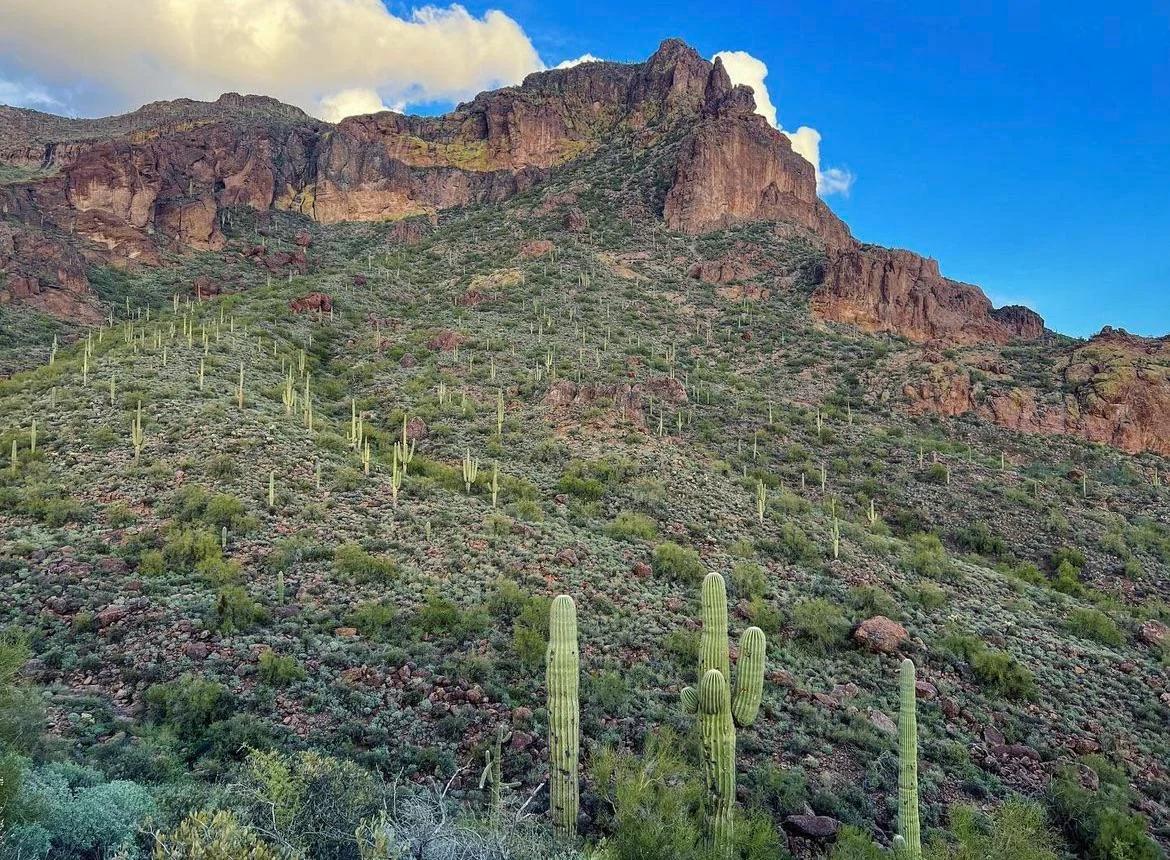 Hieroglyphic Trail