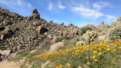 Tom's Thumb Trail