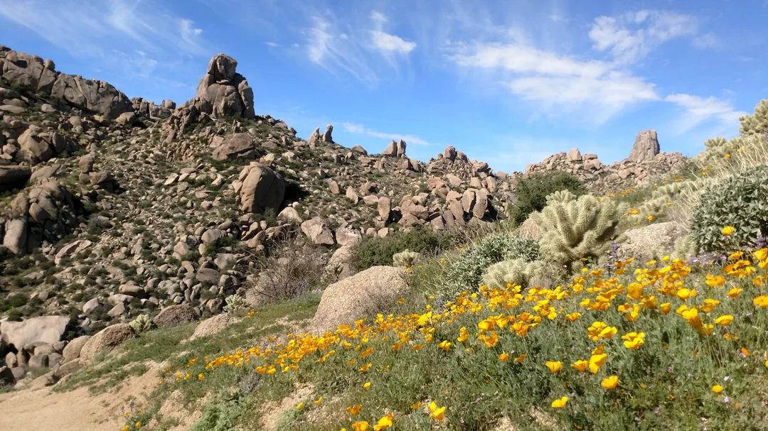 Tom's Thumb Trail