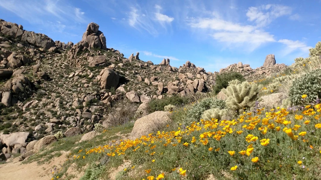 Tom's Thumb Trail