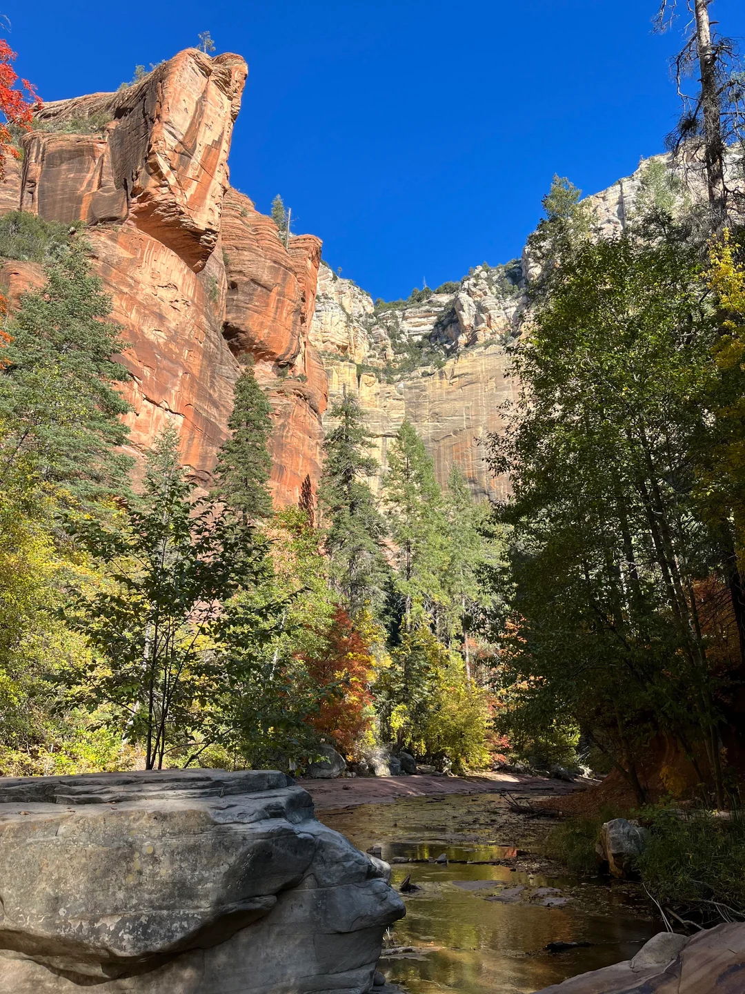 West Fork of Oak Creek Canyon 