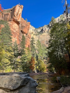 West Fork of Oak Creek Canyon 