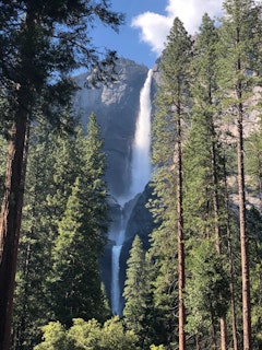  Lower Yosemite Falls Trail