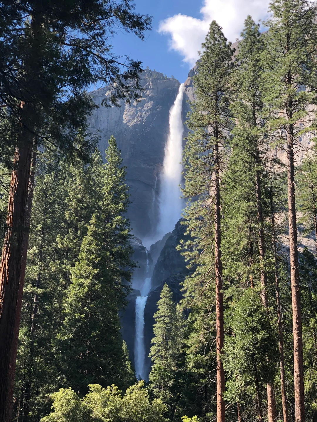  Lower Yosemite Falls Trail