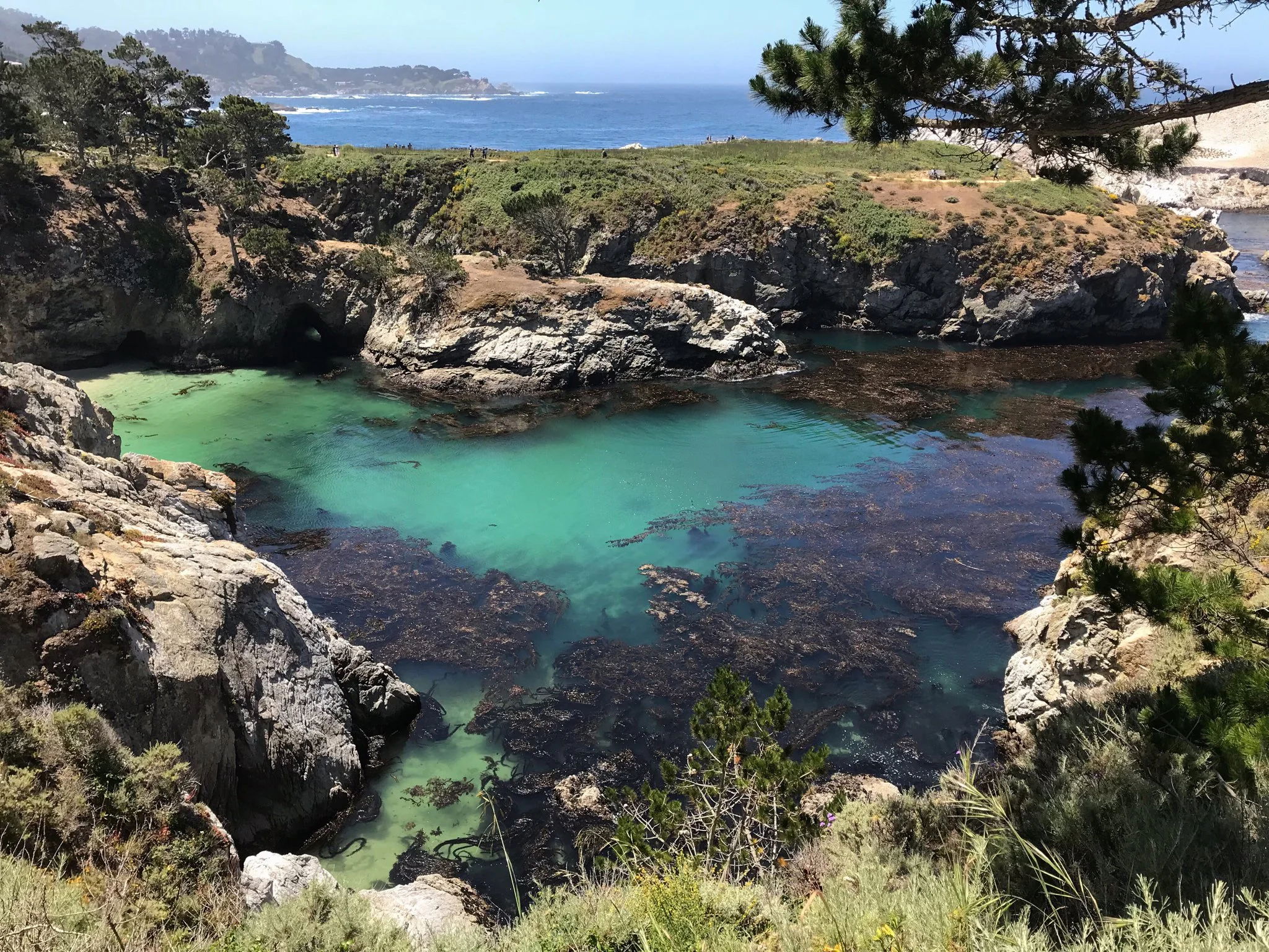 Point Lobos