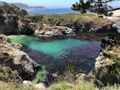 Point Lobos
