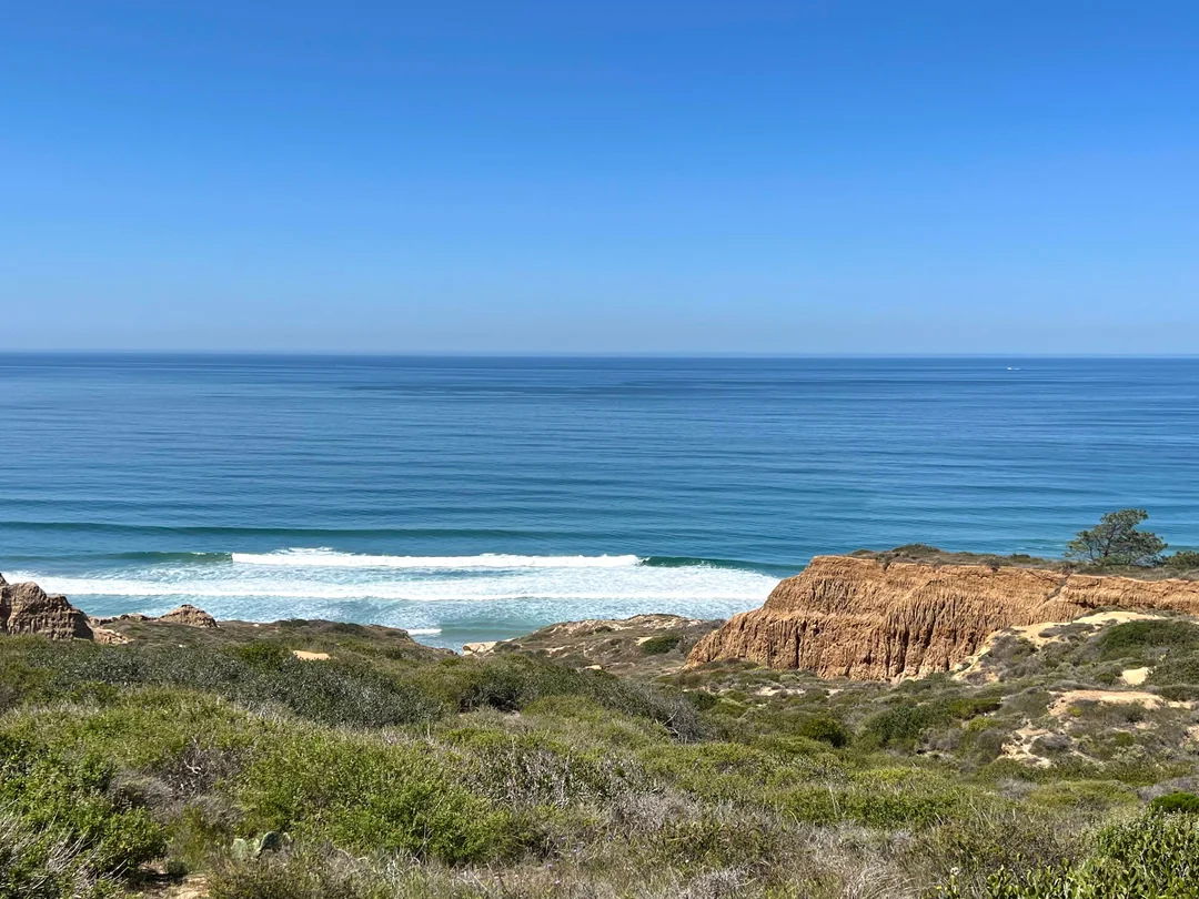 Torrey Pines Beach 