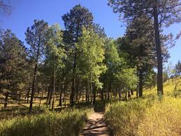 Chavez and Beaver Brook Loop