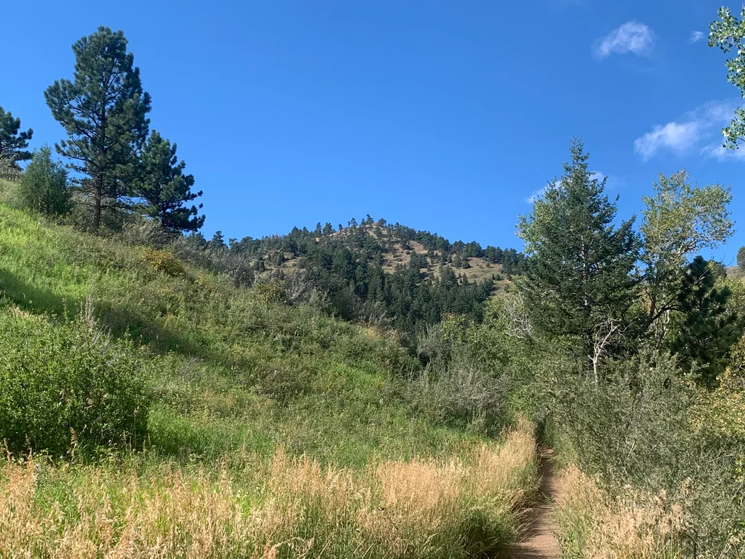  Mount Galbraith