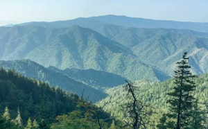 Mount Le Conte