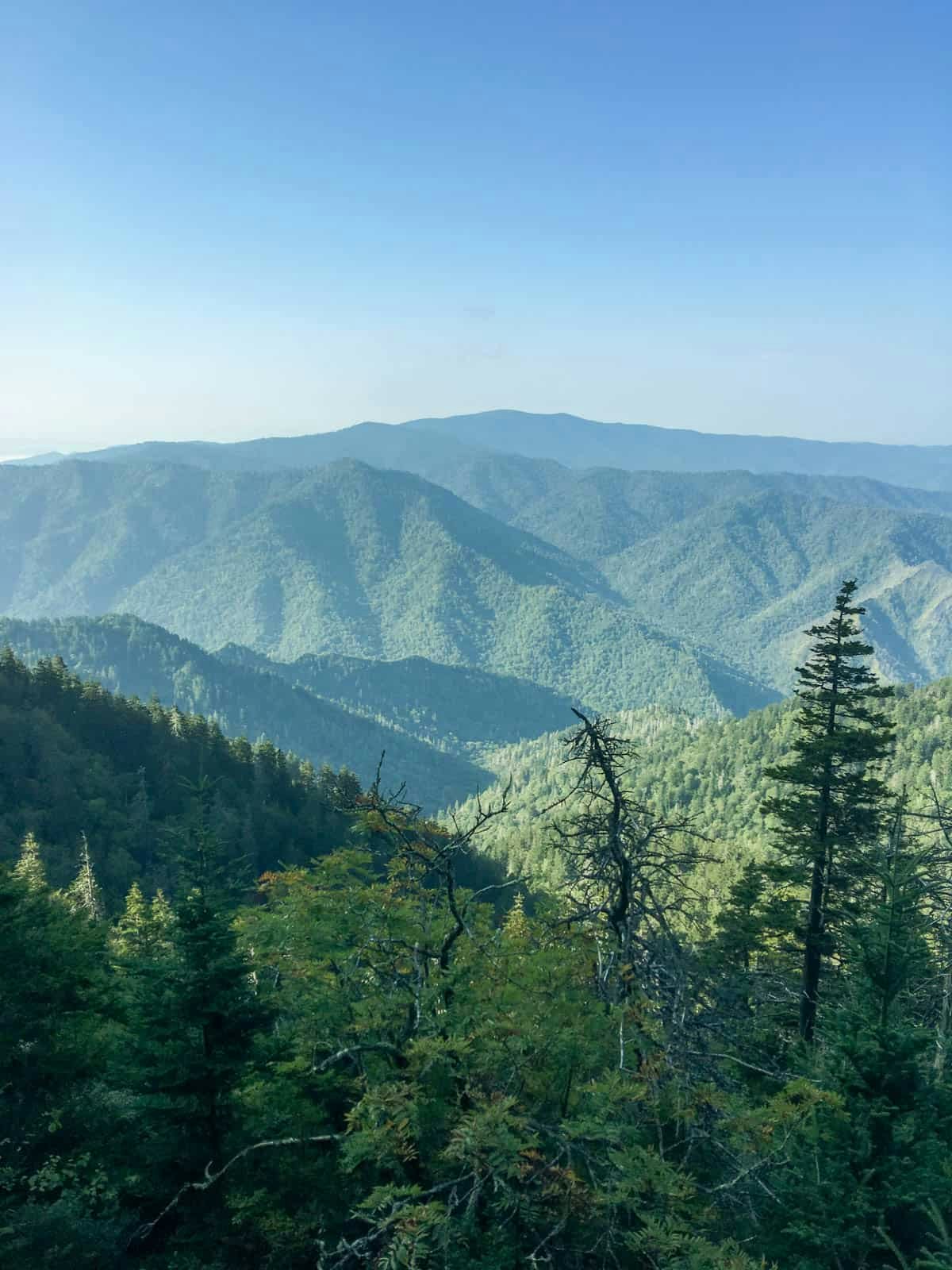 Mount Le Conte