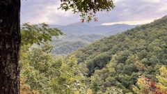 Laurel Falls Trail