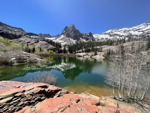   Lake Blanche Trail