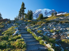 Washington