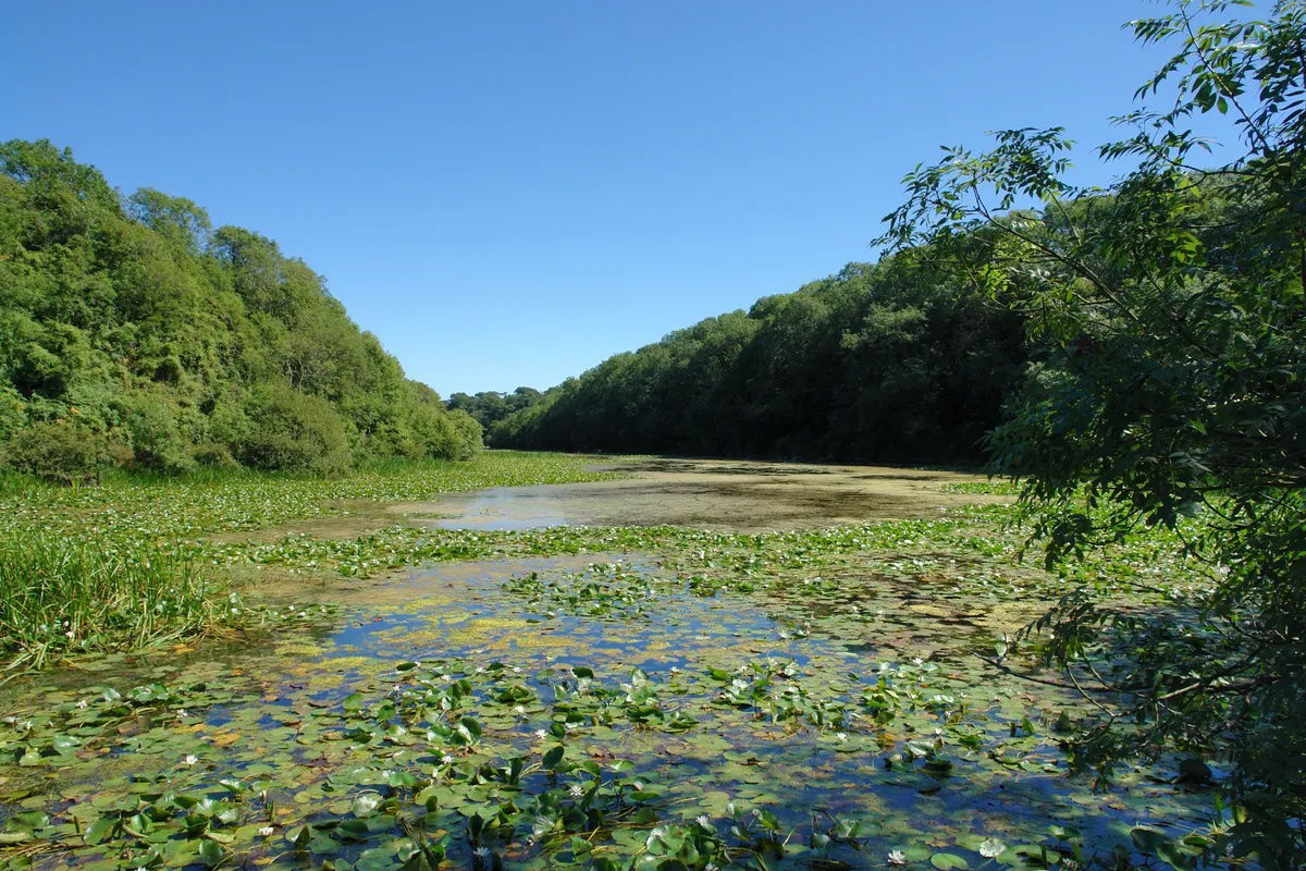 Stackpole Quay et Bosherston Lakes
