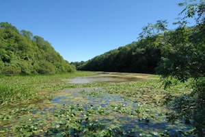 Stackpole Quay et Bosherston Lakes