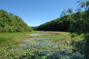 Stackpole Quay et Bosherston Lakes