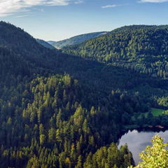 Vosges Mountains