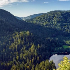 Vosges Mountains