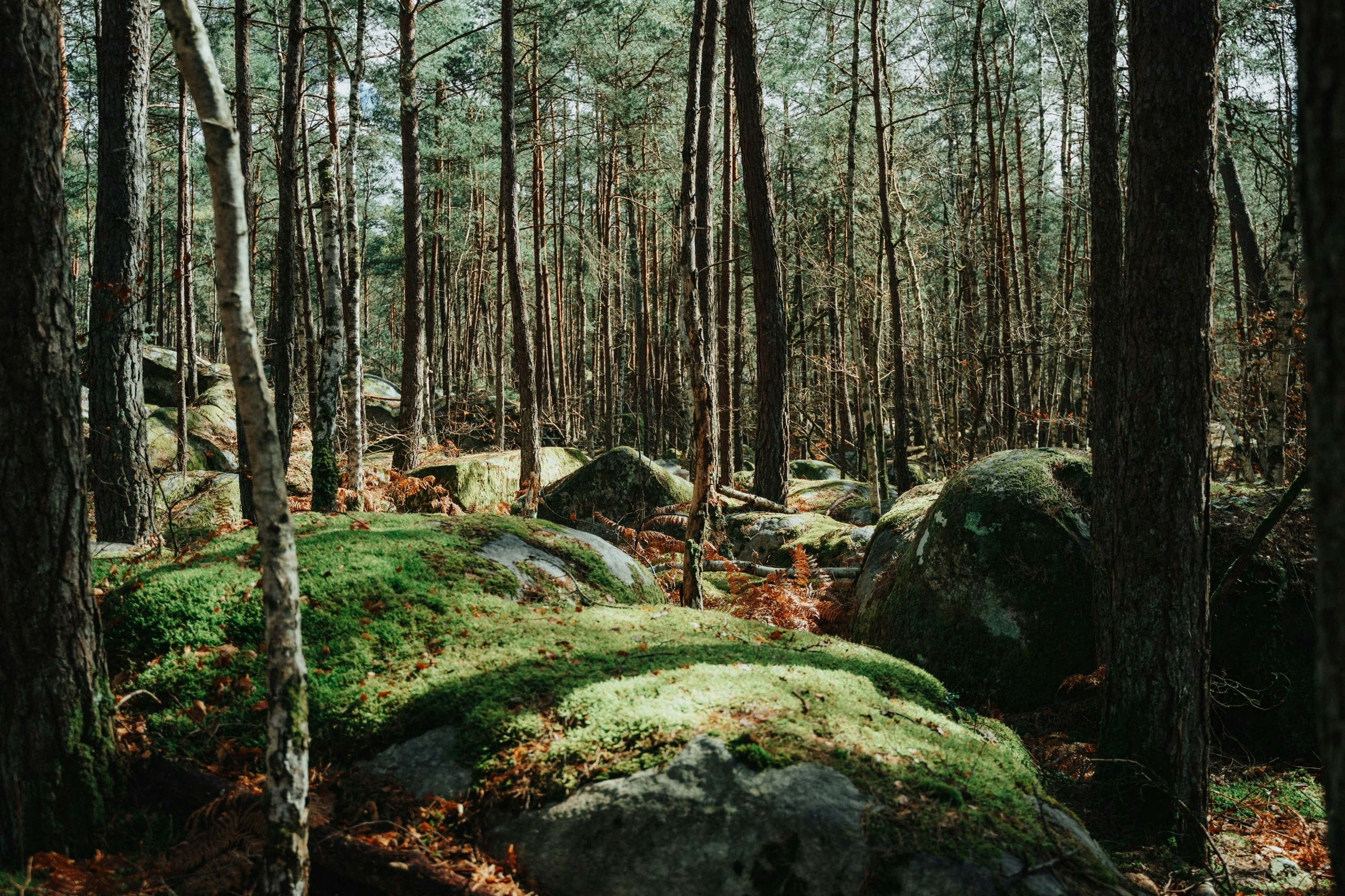 6 Best Hiking Trails Near Paris Hika 6 Best Hiking Trails Near Paris Hika