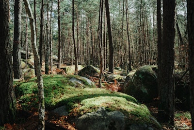 6 best hiking trails near Paris