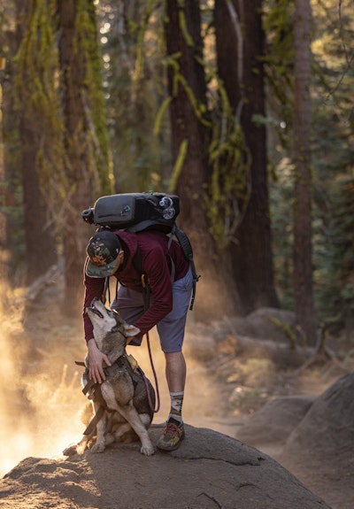 Comment randonner avec un chien ?