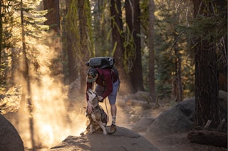 How to hike with a dog?