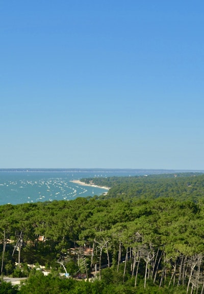 Les 6 plus belles randonnées du bassin d'Arcachon
