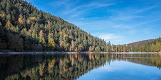 The 8 most beautiful hikes in the Vosges