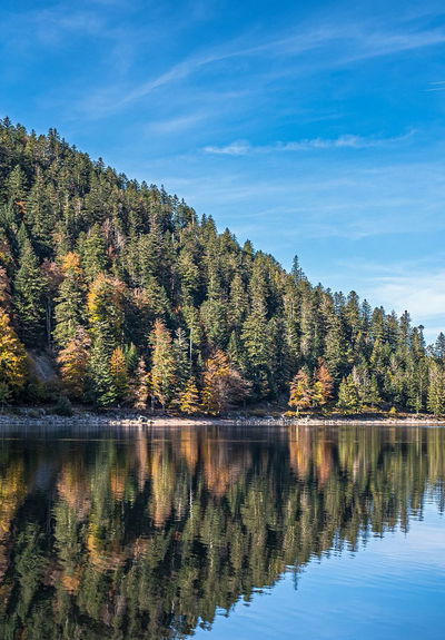 The 8 most beautiful hikes in the Vosges