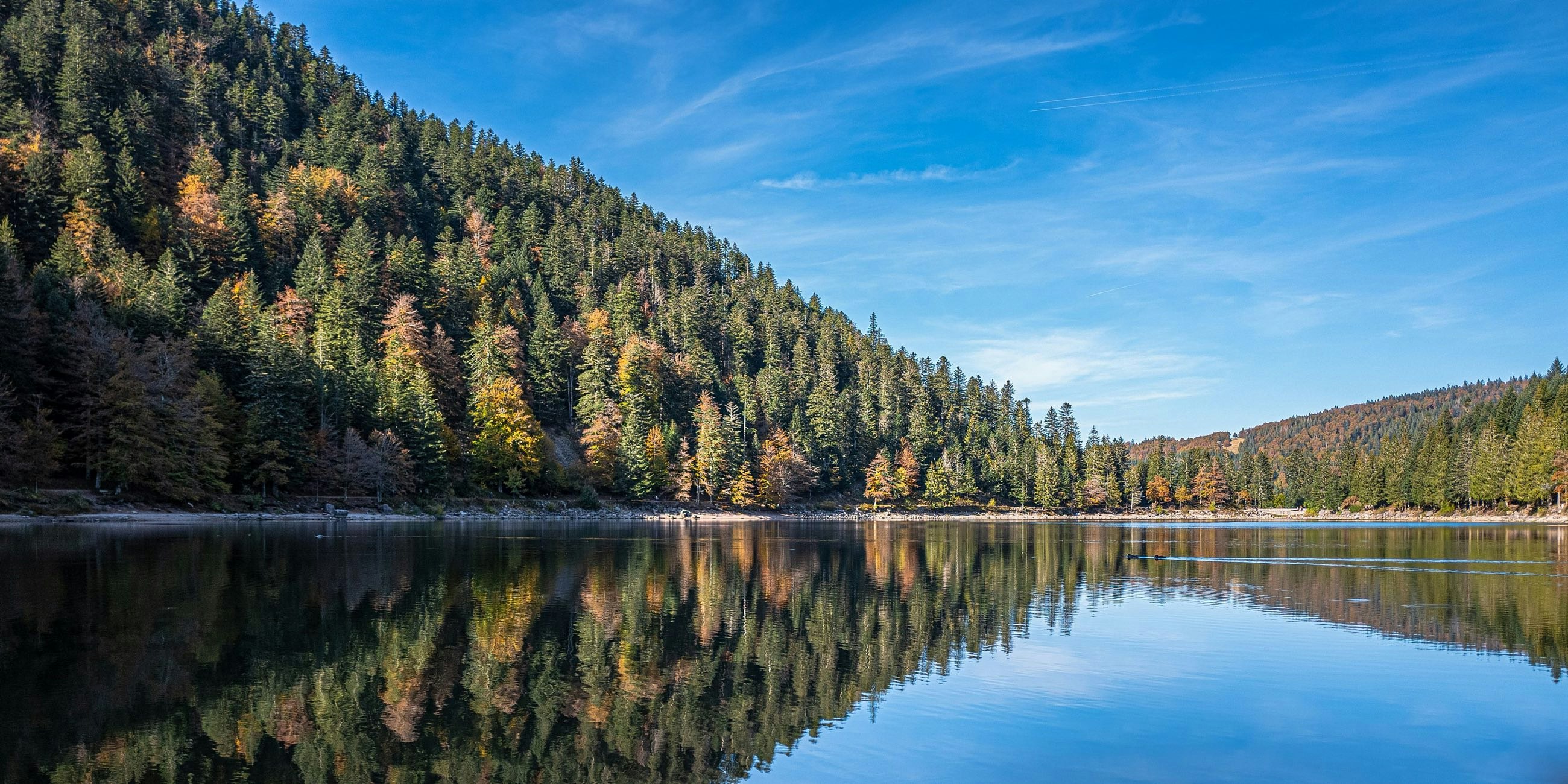 The 8 most beautiful hikes in the Vosges