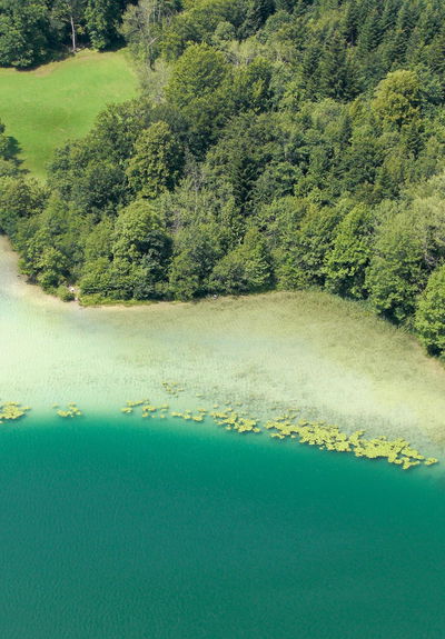 The 9 most beautiful hikes in the Jura